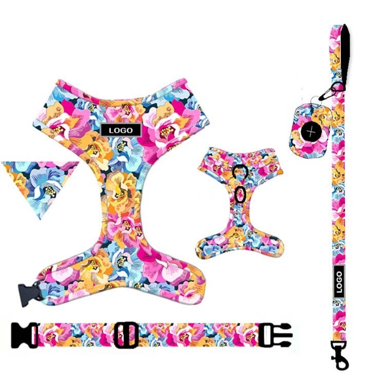Custom Printing Dog Leash and Harness Set