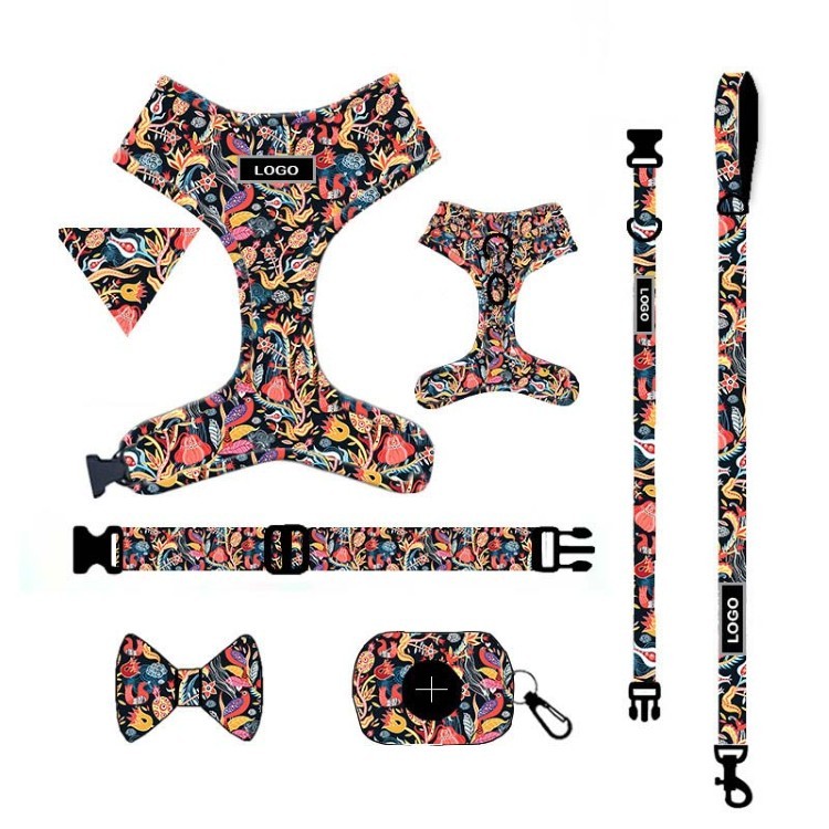 Dog Leash and Harness Set