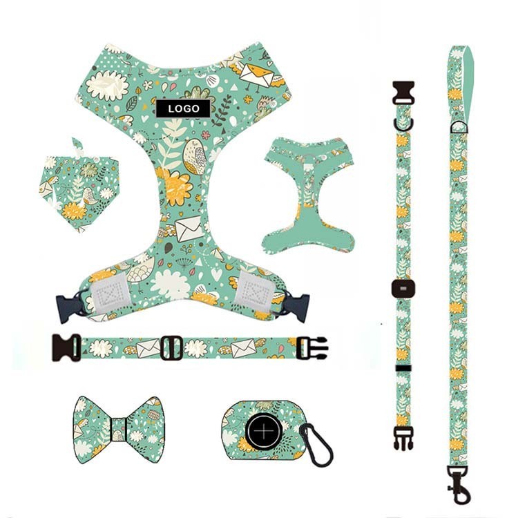 Personalized Custom Design Dog Harness Leash